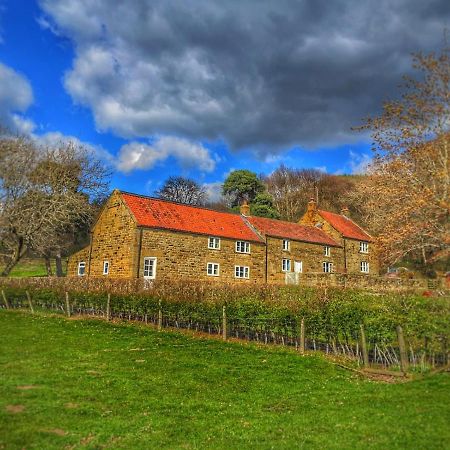 Bed and Breakfast Park House à Ingleby Arncliffe Extérieur photo