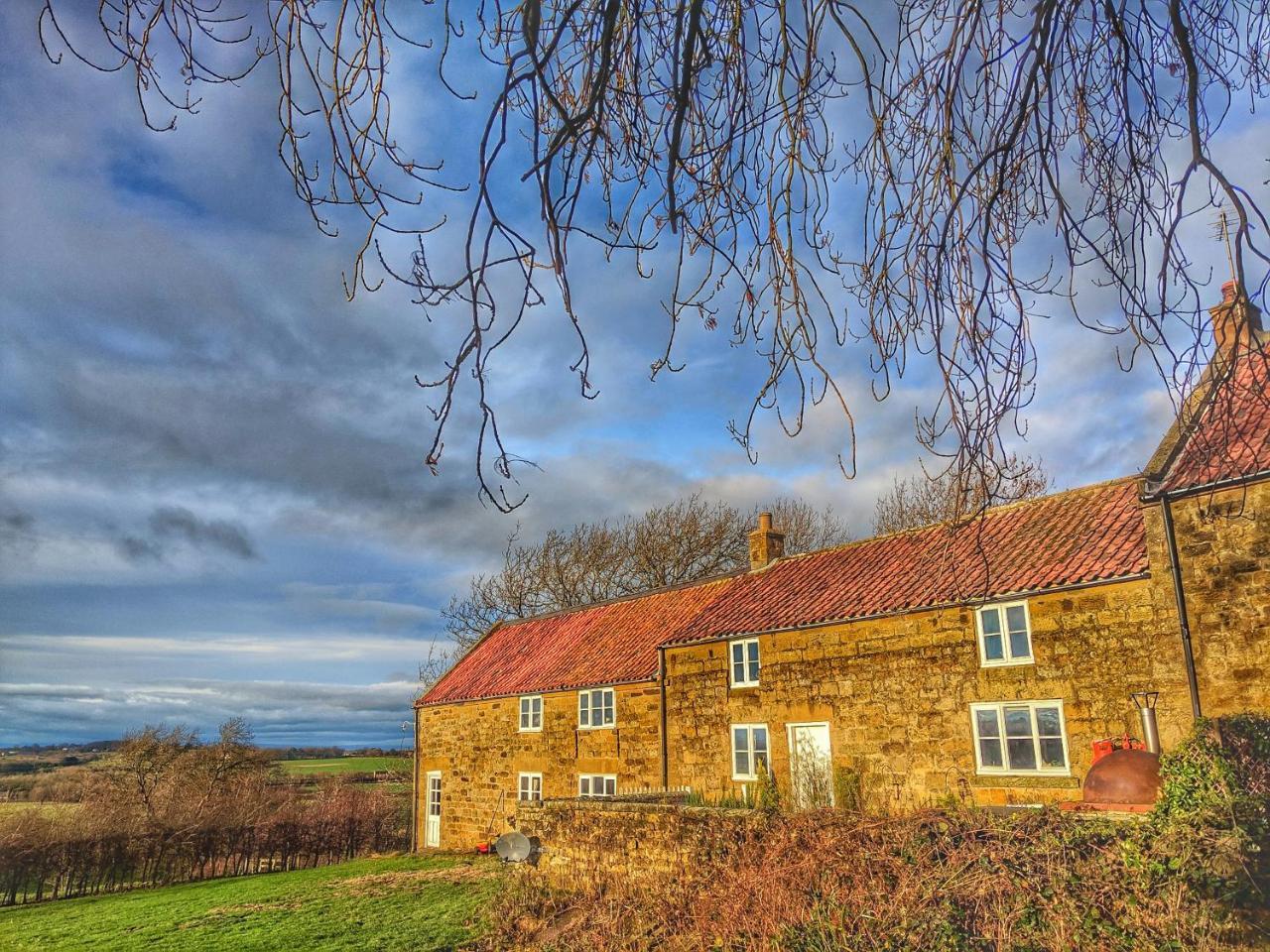 Bed and Breakfast Park House à Ingleby Arncliffe Extérieur photo